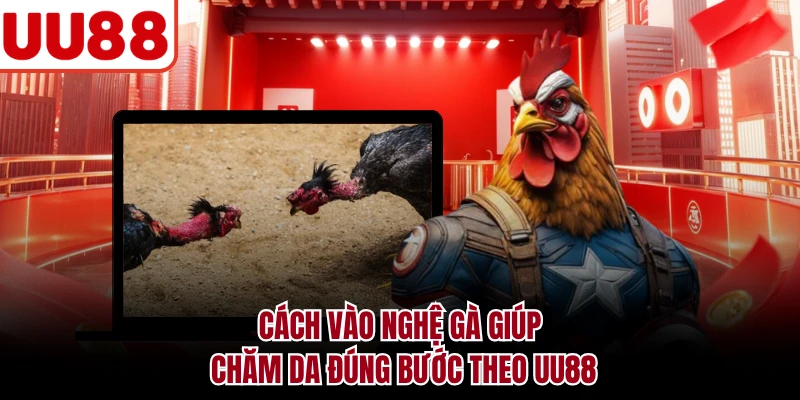 Cách Vào Nghệ Gà - Hướng Dẫn Chăm Sóc Da Gà An Toàn Cách vào nghệ gà giúp chăm da đúng bước theo UU88