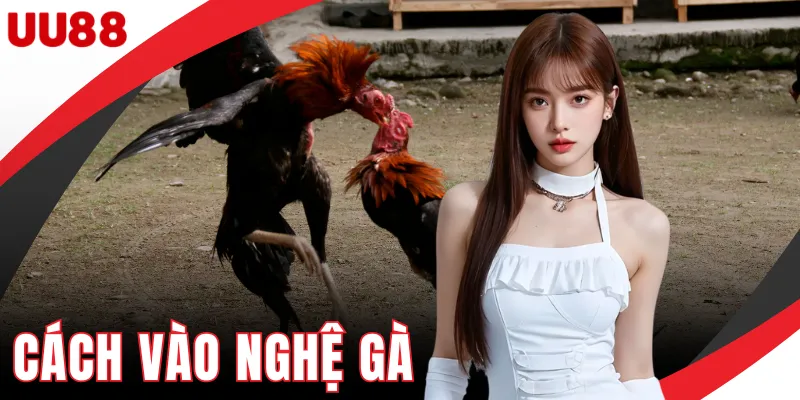 Cách Vào Nghệ Gà - Hướng Dẫn Chăm Sóc Da Gà An Toàn Cách Vào Nghệ Gà - Hướng Dẫn Chăm Sóc Da Gà An Toàn