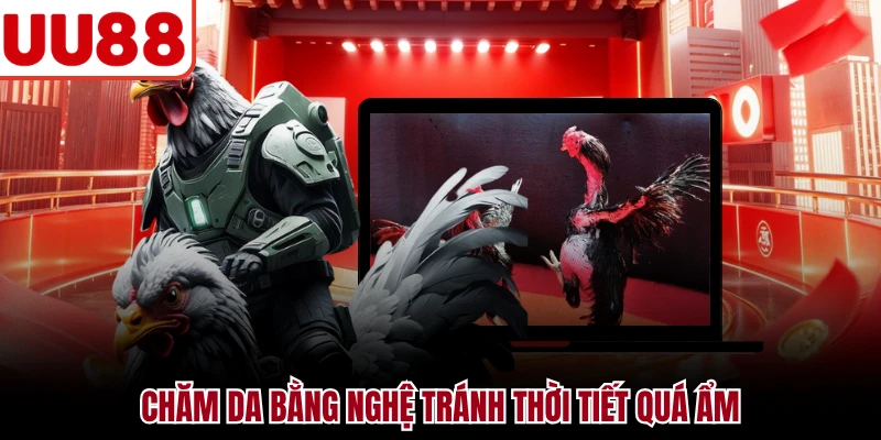 Cách Vào Nghệ Gà - Hướng Dẫn Chăm Sóc Da Gà An Toàn Chăm da bằng nghệ tránh thời tiết quá ẩm